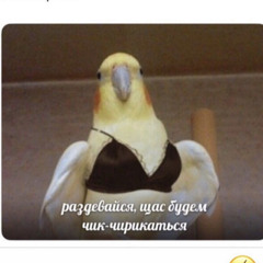 Evgeniy Post