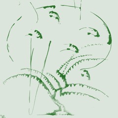 Assembling Land - de Appel COOP DAI