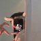 Flex