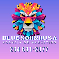 bluesoundusa