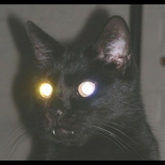 Rawwwrr