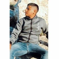 Mohamed Shalafeh