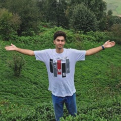 MOHAMAD HESAM SOLIMANI