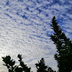 غمامة☁️
