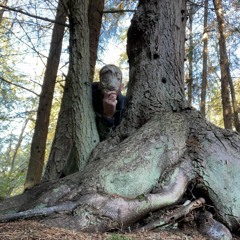 King Nine Will Not Return