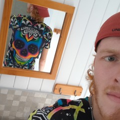 ginga ninja