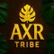 AXR TRIBE