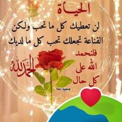 Abo Ahmed Sayed