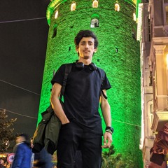 Amr A Alfiky