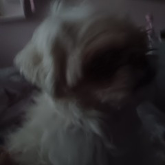 Audri_0