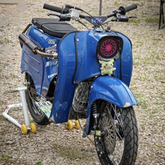 Czischke—aus—BB