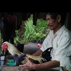 Pak Tek