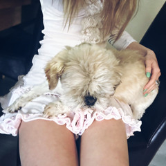 meli