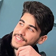 Leo_Hamid