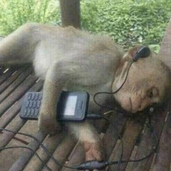 Dảk j cơ Dảk Musiccccc😵‍💫
