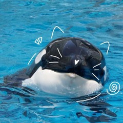 დ .•*””*• 𐌀𐌔ꃅᛊᚱ 𐌔𐌕ᛟᚻᛊᚱ•*””*•.დ