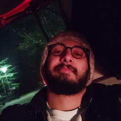 Mert Erol