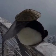 𝖄𝖔𝖒𝖎2𝖈𝖍𝖎𝖑𝖑