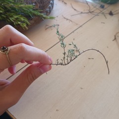 mariabaldia