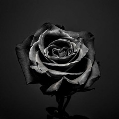 iloveyouihateyou