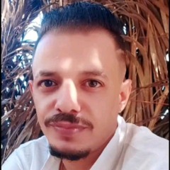 mohamed elsogaer