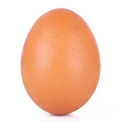 Eggs Eggs Eggs Eggs Eggs Eggs Eggs Eggs Eggs Eggs Eggs Eggs