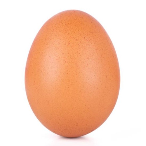 Eggs Eggs Eggs Eggs Eggs Eggs Eggs Eggs Eggs Eggs Eggs Eggs