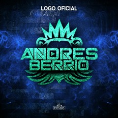 Andres Berrio - Perfil 2