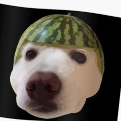 waterdogmelon.