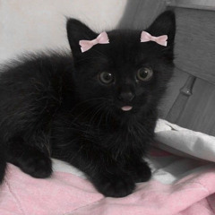 Kuro