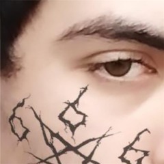 Zein.all