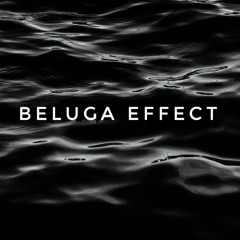 Beluga Effect