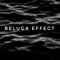 Beluga Effect
