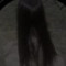 prodsaqs