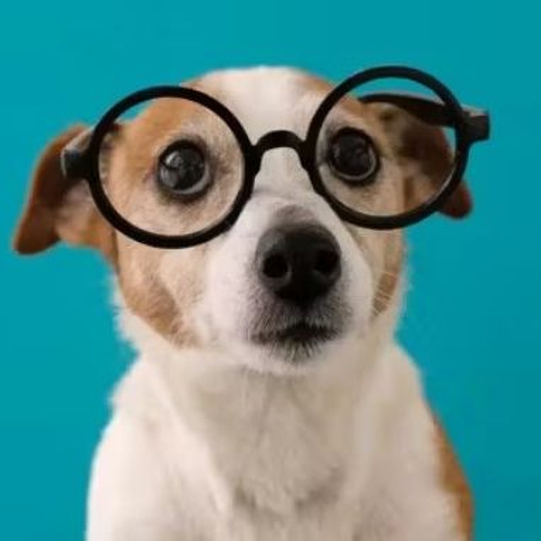 Stream Kefta music | Listen to songs, albums, playlists for free on ...