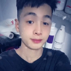chim cánh cụt