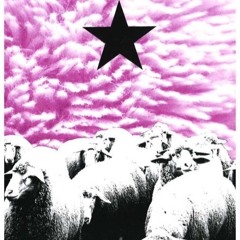 Standard Issue Children