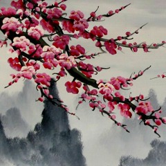 Red Sakura Flower