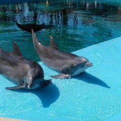 𝙻𝙾𝚅𝙴𝙻𝚈 ♥︎