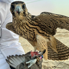 نـهـيـان💎