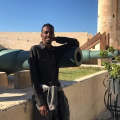 ahmed zohier