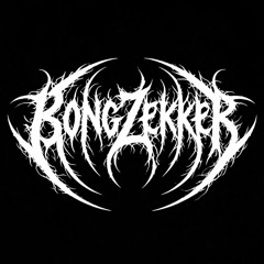 BongZekker 〘𝔸𝔽𝕄ℝ〙