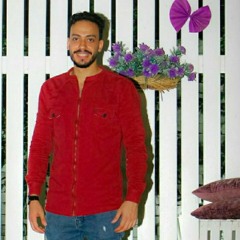 Adham El-Sharkawy