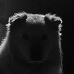 Chuky