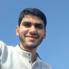 Fawzy Khater