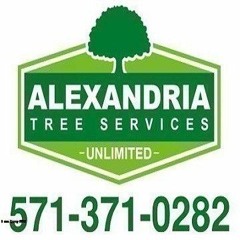 Alexandria Tree Services Unlimited