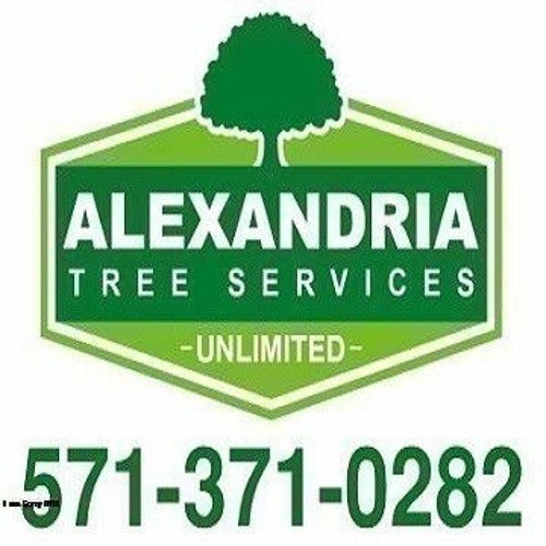 Stream Alexandria Tree Services Unlimited music Listen to songs