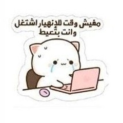 سـين 🐢