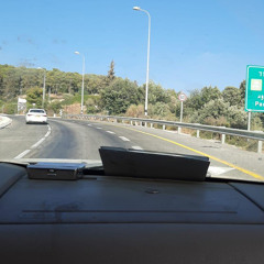 שמאי לוי