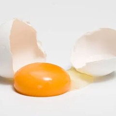 egg yolk